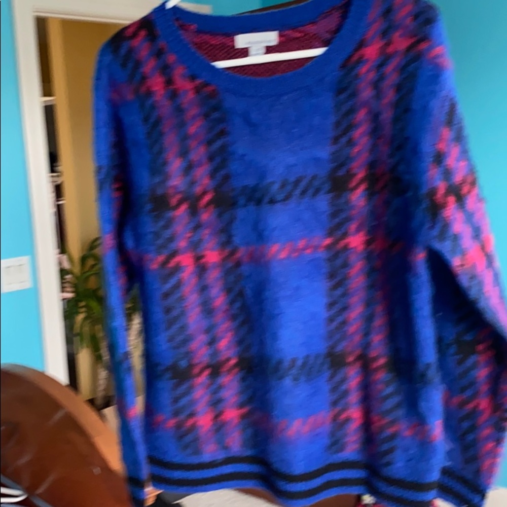 Fuzzy Allison joy sweater from Evereve